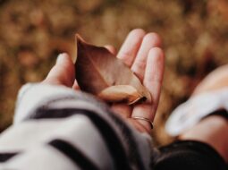 Incorporate Philanthropy